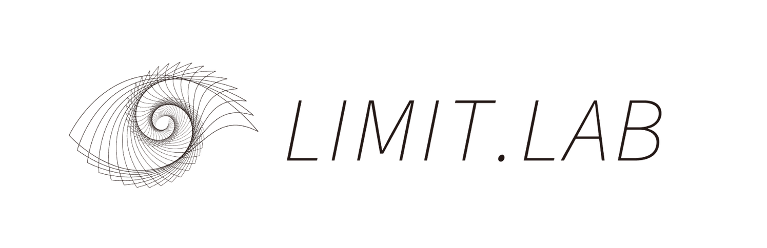 LIMIT Workshop logo