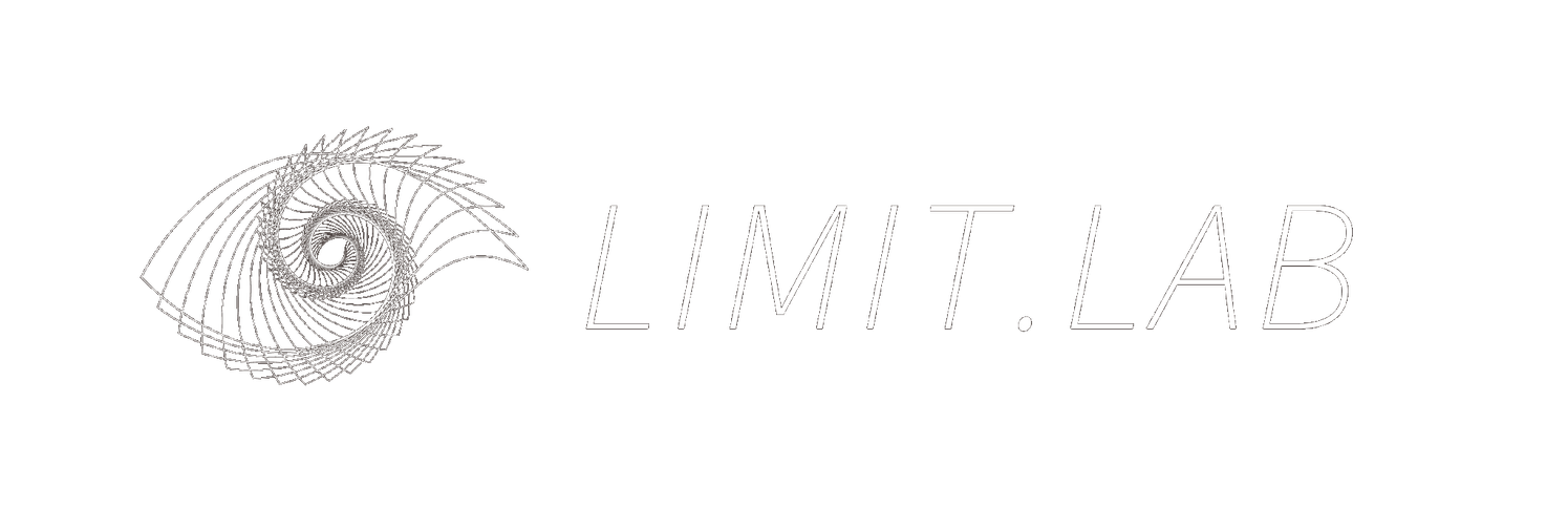 LIMIT Workshop logo